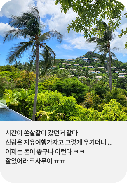 코사무이 후기